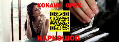 гашик Майкоп