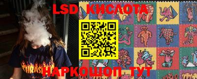 гашик Майкоп