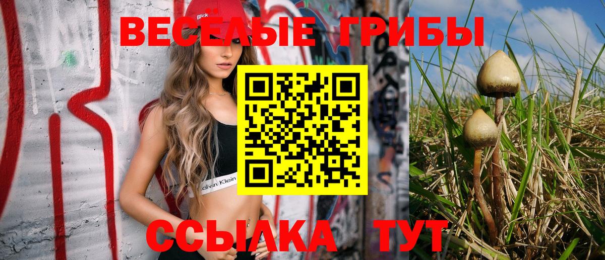 Псилоцибиновые грибы прущие грибы  Псилоцибиновые грибы прущие грибы  хочу   Вход с VPN  Артём 