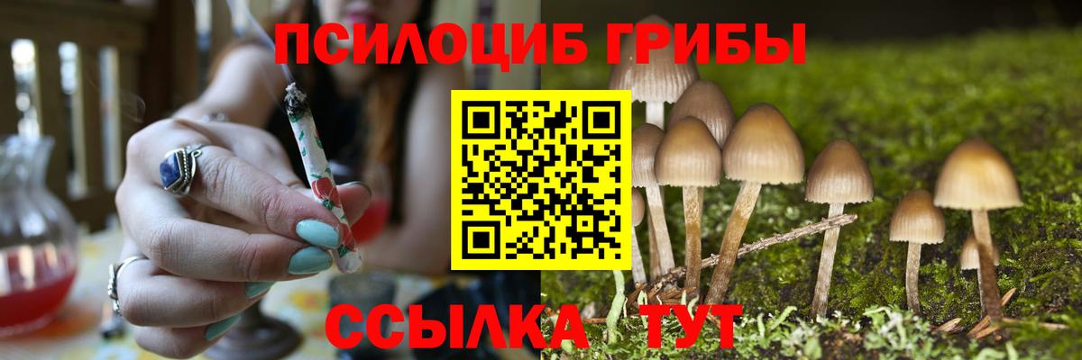 Галлюциногенные грибы Magic Shrooms Артём