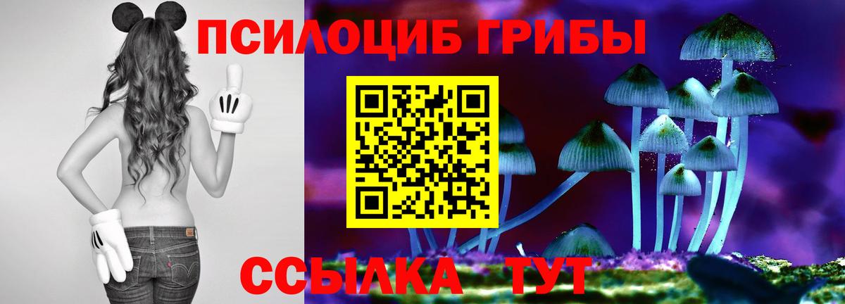 Галлюциногенные грибы мицелий  Артём  Псилоцибиновые грибы мицелий 